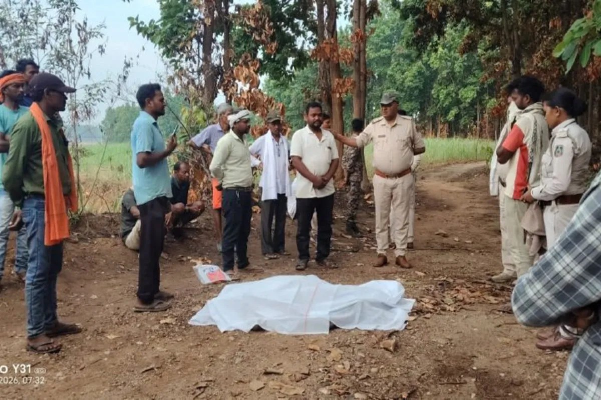 Elephants Terror in Surguja: सरगुजा में हाथियों का आतंक! 36 घंटे के भीतर पति-पत्नी समेत 4 लोगों को कुचलकर मार डाला